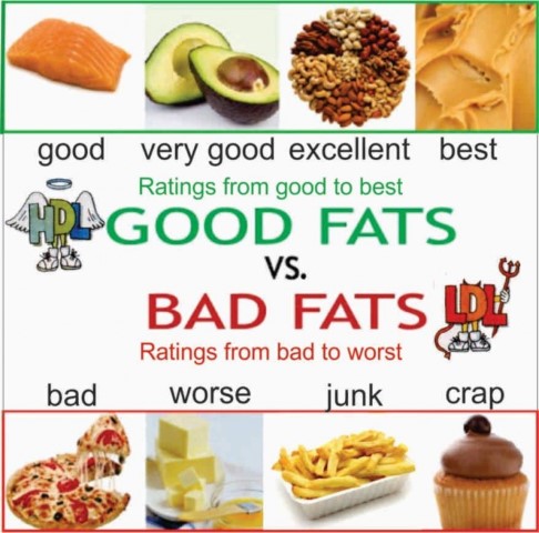 Fats | Healthy Fats and Unhealthy Fats | PMF IAS UPSC