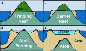 Coral Reef: Fringing Reef, Barrier Reef & Atoll - PMF IAS
