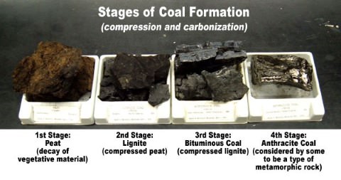 Coal | Types of Coal: Peat, Lignite, Bituminous Coal & Anthracite Coal -  PMF IAS