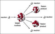 components of nuclear fission reactor