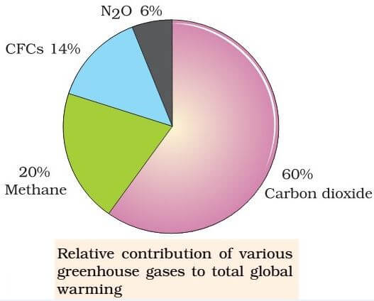 Greenhouse Effect Global Warming Carbon Sequestration Pmf Ias