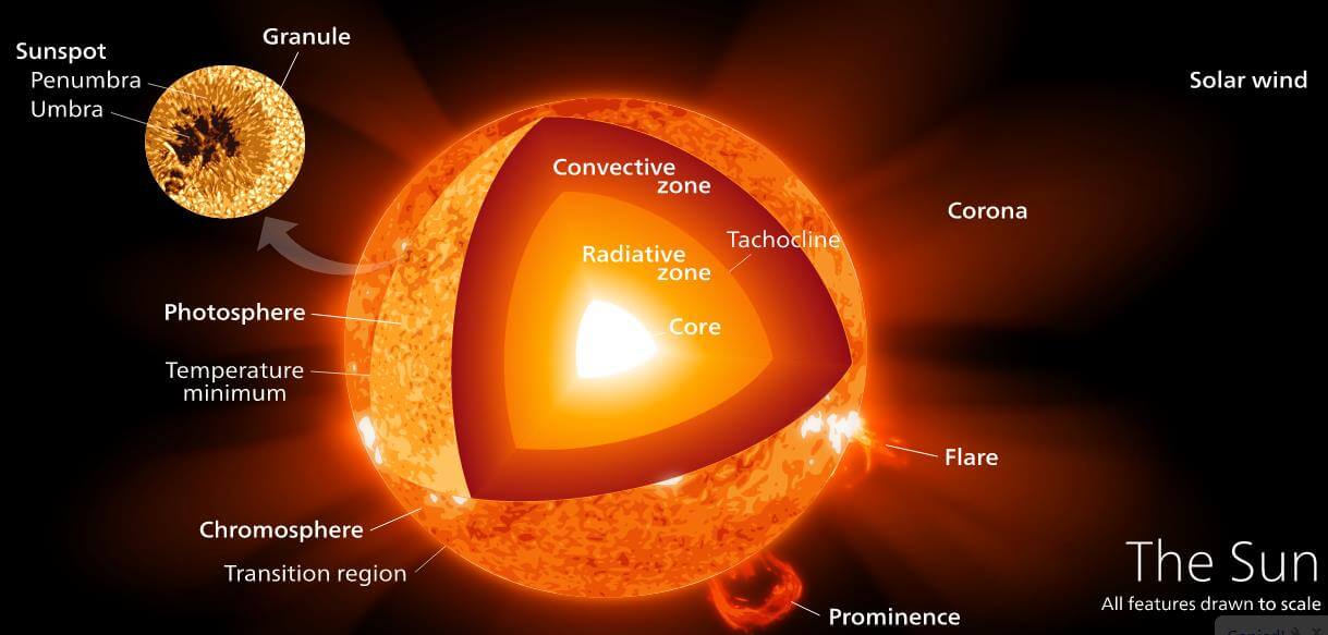 The Sun’s Internal and External Structure